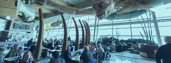 Wellington-Airport Wellington Airport Airport Management System Veovo