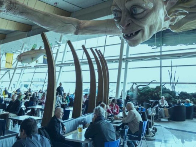 Wellington Airport Airport Management System Veovo