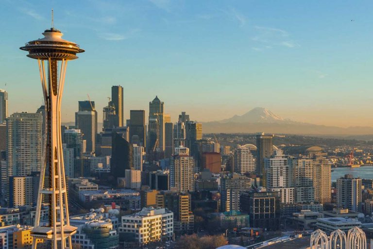 Space-needle-crowd-management-veovo