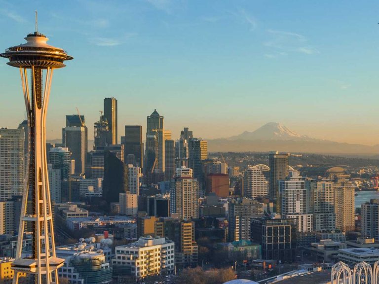 Space-needle-crowd-management-veovo